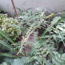 월락초등학교 이미지