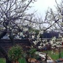 도연부동산공인중개사사무소 이미지