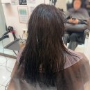 전원미용실 - 강서구 공항로1309번길 105 | [서면미용실 오아사]신데렐라 클리닉/복구 클리닉 후기/새로운클리닉/디자이너 전원 PICK