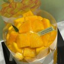 시루 | 성심당 본점 케익부띠끄 망고시루 솔직후기 내돈내산 평일 웨이팅 꿀팁