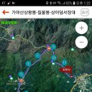 가야산식품 이미지