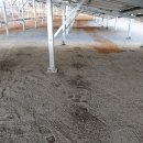 산청쏠라 이미지