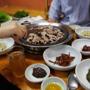 숲속의오리 이미지