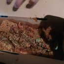 노랑통닭인주점
