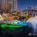 물뿜는 고래 이미지