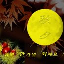 영우과일 이미지
