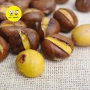 단밤 쇼핑하우