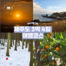 애월숲에101 | [국내여행] 제주도 서귀포 중심 3박4일 여행코스 총정리! (맛집, 카페, 동선 완벽정리)