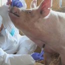 대한사료(주) 이미지