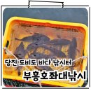 부흥호좌대2낚시터 | 당진 도비도 좌대낚시 우럭 조과 보장 부흥호좌대낚시