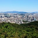 성원공인중개사사무소 이미지
