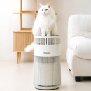 털보신집 | 고양이 털 냄새 잡는 하니웰 펫 공기청정기 추천 후기, 집사라면 만족할 만했음