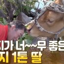 경택농장 이미지