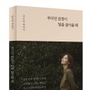 현이 햇빛발전소 2호기 | [리뷰어스클럽-책발전소X테라코타] <무뎌진 감정이 말을 걸어올 때> 서평단 모집
