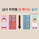 남녀 부위별 살 빠지는 순서 이미지