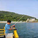 황금빛노을바다 낚시터 이미지