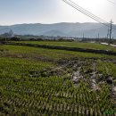 옥계보건지소 이미지