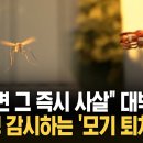 (KNN)"보이면 그 즉시 사살 "..6천평 감시하는 '모기 퇴치'드론/2026.7.16. 이미지