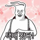 한정판 지오마 크리스마스 에디션, 투마이디어리스트 후기!