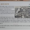 순천대학교박물관 Daum카페