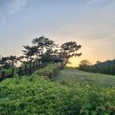 이순신공원(중간) 이미지