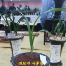 한국공판장