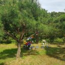 서울목장 이미지