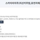 Sky pharm 이미지