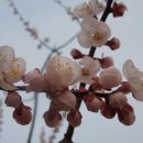 충주댐가든 이미지