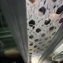 메디럭스 이미지