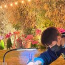 달빛돈가 이미지