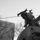 돈키호테-무식한 소 이미지