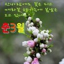 하루의 행복 이미지