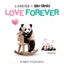 바오뷰티 네이버블로그
