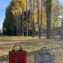 에츠하임 이미지