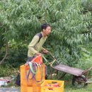 영우농원 이미지