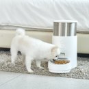 헤이코리아 | 지오코리아X헤이홈 스마트라이프