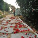 동백섬민박 이미지