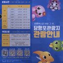 경남 고성 당항포 관광지 공룡테마 전시관을 둘러보다~