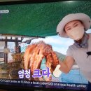 역포마을회관 Daum카페
