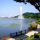 유로무도장 이미지