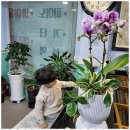 우리음악피아노학원 이미지