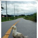 주산면사무소 이미지