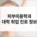 대전보건대메디컬창업동아리 | 피부미용학과 입시·전공·진로·취업·직업·자격증 정보 총정리