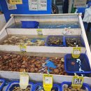 연희수산 | 🐚 매천수산시장 후기 [불친절, 그래도 참소라는 맛있었던 저녁]