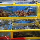 호남약국 이미지