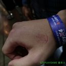 2017 플레이엑스포 참관 후기 1