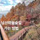 소월집 | 남산하늘숲길 가는 방법 주차 포토스팟 총정리