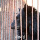 이학영 농장 이미지