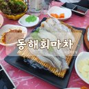 노상횟집 | 대전역 근처 횟집 '동해회마차' 야외노상 솔직후기, 분위기 만점